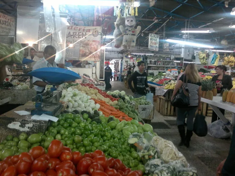 Mercados Públicos