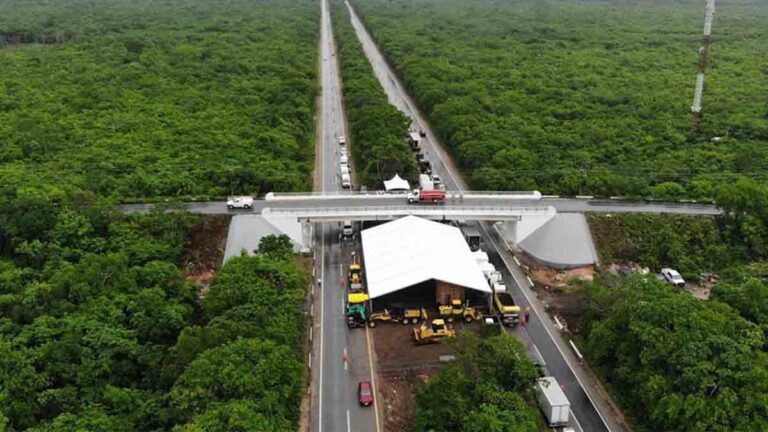ambiente en obras de tren maya