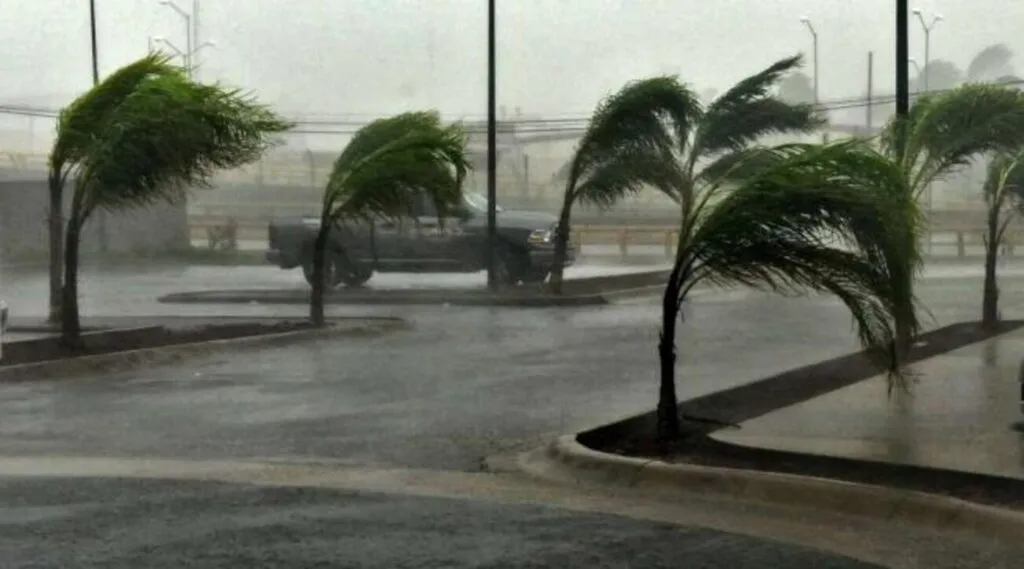 FUNO se solidariza con la comunidad de Acapulco por Otis