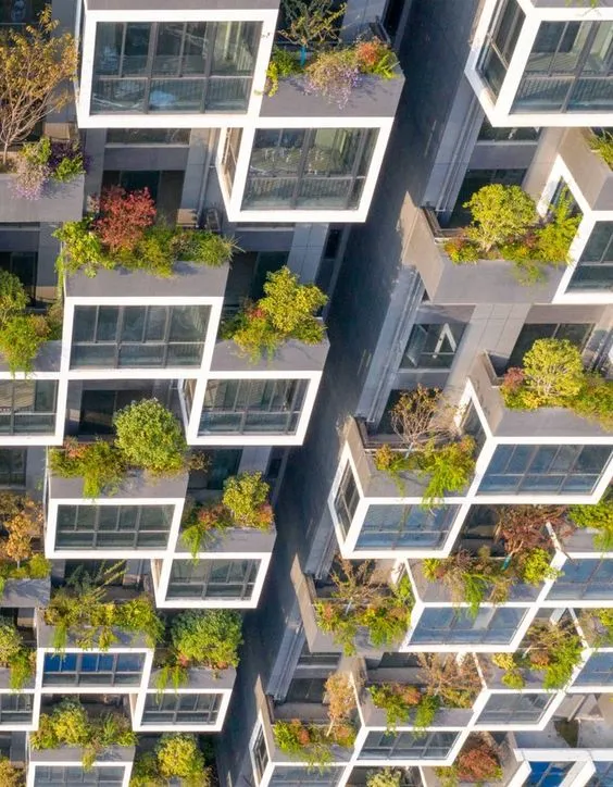 Daniel Esquenazi Beraha