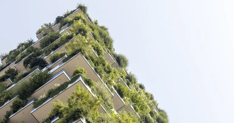 Daniel Esquenazi Beraha: América Latina, emerge como terreno propicio para la construcción verde