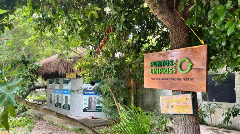 Puntos Limpios Tulum y Colaboradores Impulsan Sostenibilidad en Residuos