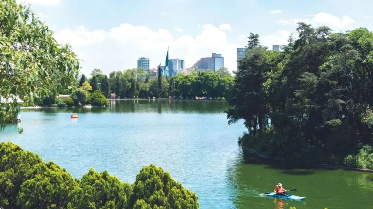 Aumentan jardines de bolsillo y áreas verdes en la CDMX